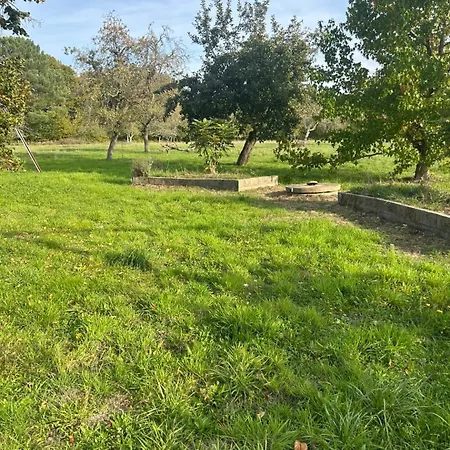 Les Petites Ecuries * 拉弗雷切